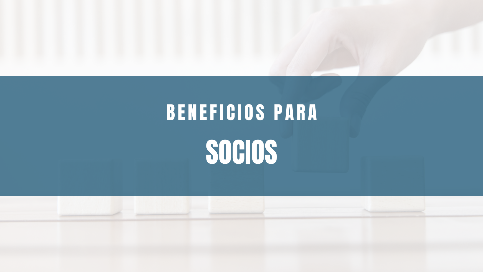 Socios de beneficios – Invitá a empresas a sumarse