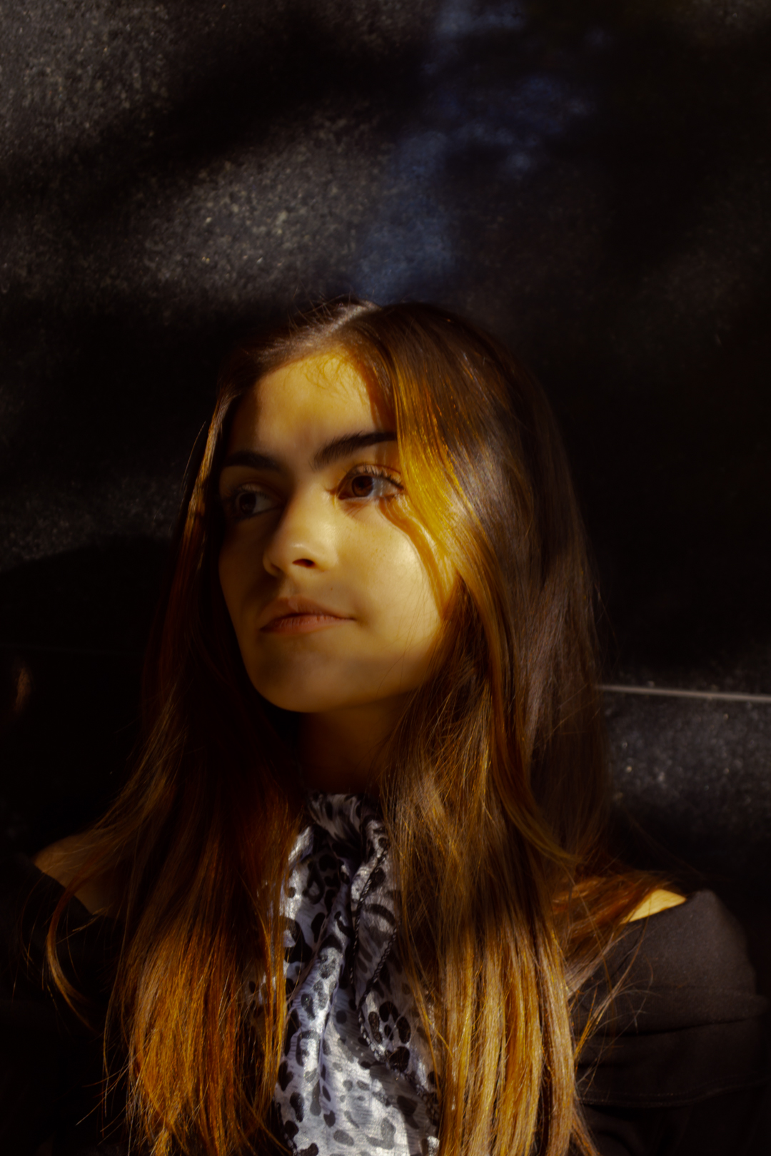 Retrato de una mujer de cabello castaño iluminado por una luz cálida, con el rostro enmarcado por sombras oscuras. Rosario.